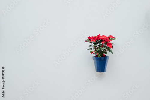 Horizontal shot of hanging flower pots on minimalist white wall.