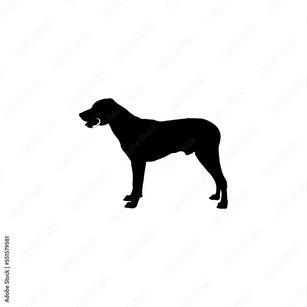 Dog icon. Simple style pet shop poster background symbol. Dog brand logo design element. Dog t-shirt printing. vector for sticker.