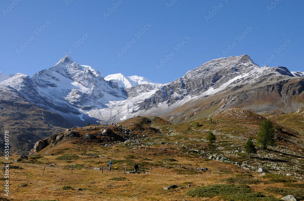 Tourist-attraction: Trekking in the Swiss Alps on Bernina Hospitz