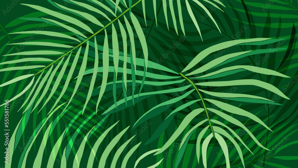 Green tropical leaves vector background card Green tropical leaves vector background card