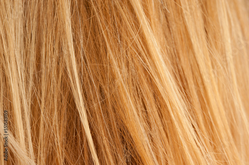 blond woman hair background macro