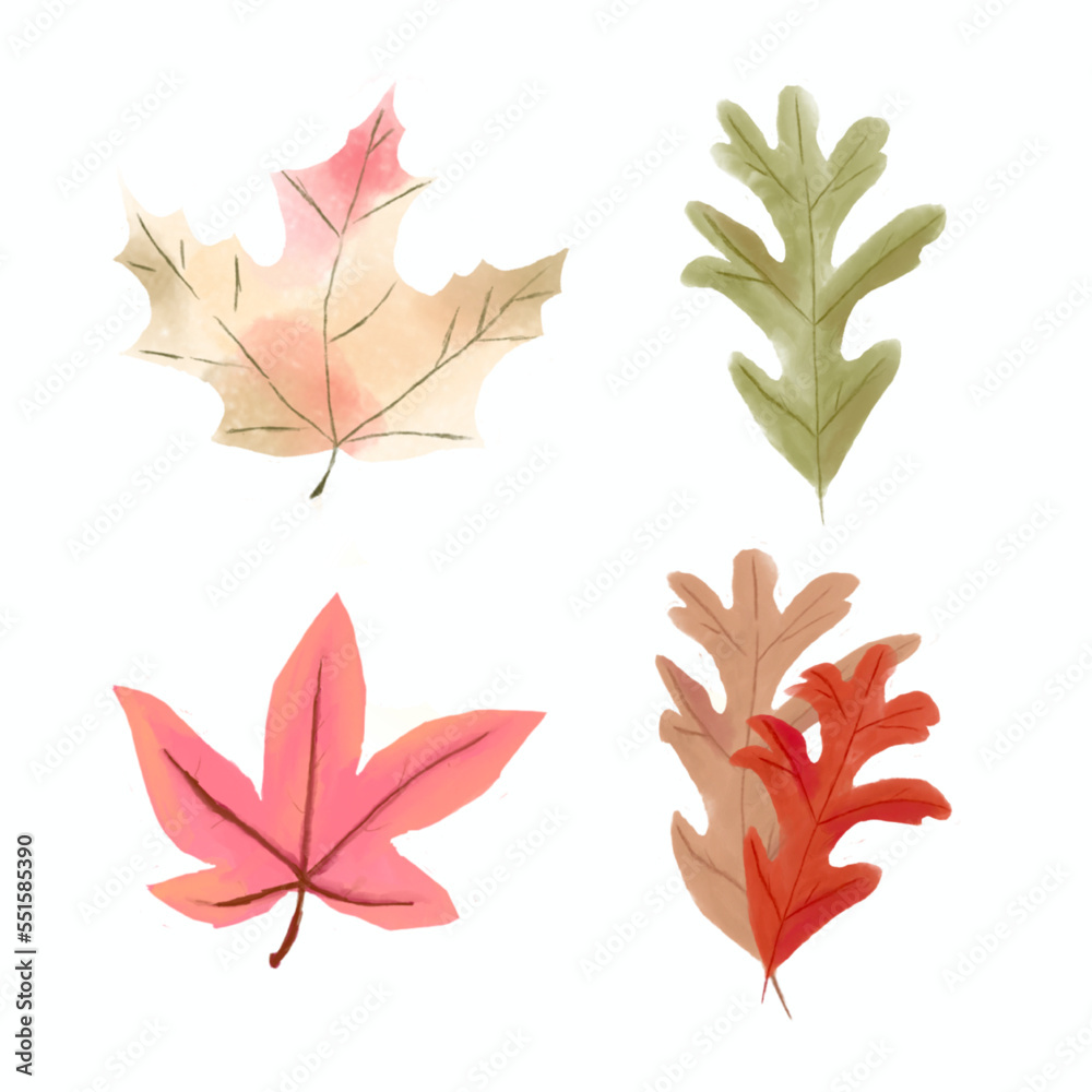 leaves isolated on white leaves isolated on white