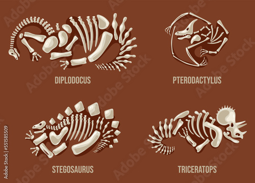 Dinosaurs skeleton with name text vector design graphic illustration element