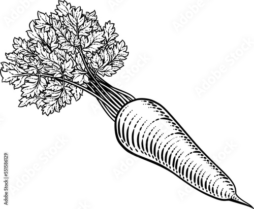 Carrot Vegetable Vintage Wo...