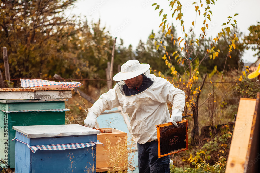 beekeeper works with bee hives beekeeper works with bee hives