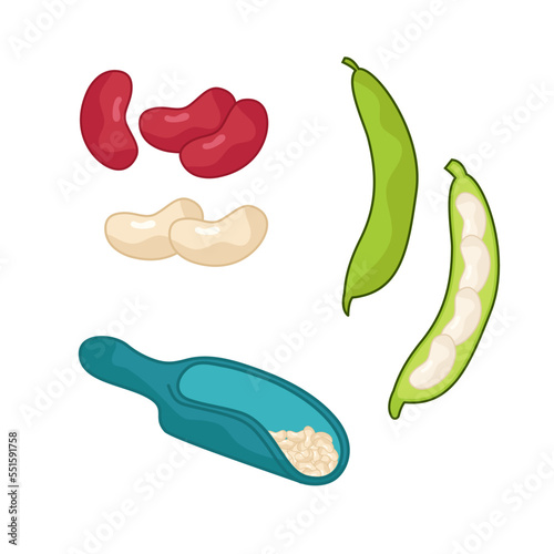 A set of different beans. The world of legumes.