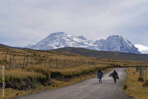 Alone person looking at a natural landscape, Cotopaxi and Antisana volcano