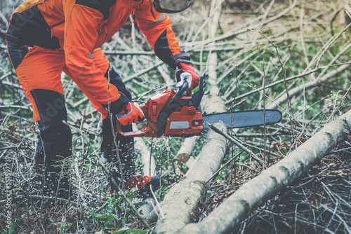 Man holding a chainsaw and cut trees. Lumberjack at work wears orange personal protective equipment. Gardener working outdoor in the forest. Security professionalism occupation forestry worker concept photo