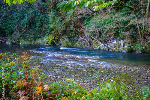 a river flows between the brush  ferns and the stone slope of the mountain. Crystal clear water with swirls of white foam on the darker  blue-green waters  and vegetation on the sides.