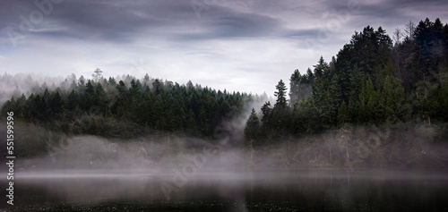Mist over Remote forest and Lake, Malcolm Island near Vancouver Island, British Columbia, Canada photo
