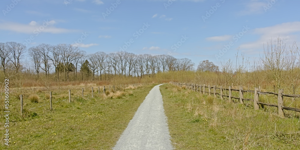 Hiking path in between fields and young birch forest in Parkbos nature reserve in Ghent, Flanders, Belgium 