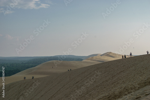 Tourists standing on Dune du Pilat  the biggest sand dune in Europe with the pine forest  Arcachon  Nouvelle-Aquitaine  France