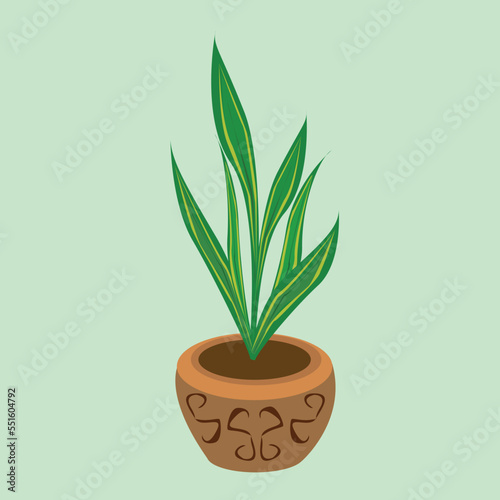 Plant in a brown pot with a pattern, sansiviera. Vector illustration isolated on a white background, for decoration, interior simulation and more.