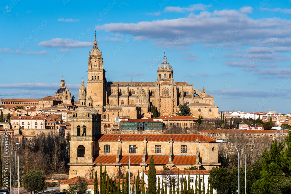 Scenic view of the Cathedral of Salamanca and New Church of Arrabal. Castilla Leon, Spain.