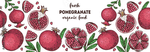 Pomegranate fruit hand drawn design. Vector illustration. Design, package, brochure illustration. Pomegranate border illustration. Design elements for packaging design and other.