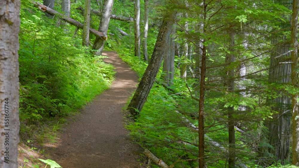 Establishing shot of trail in park in slow motion at summer day in Vancouver, Canada, North America. Day time on September 2022. Still camera. Establishing shot of trail in park in slow motion at summer day in Vancouver, Canada, North America. Day time on September 2022. Still camera.