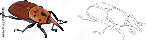 red insect harmful to palm trees-red insect harmful to palm trees-