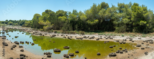 National Park of Kotychi and Strofylia Wetlands photo