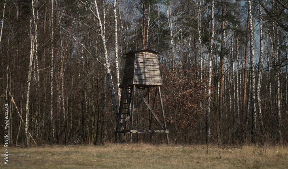 wieża obserwacyjna w lesie - obrazy, fototapety, plakaty 