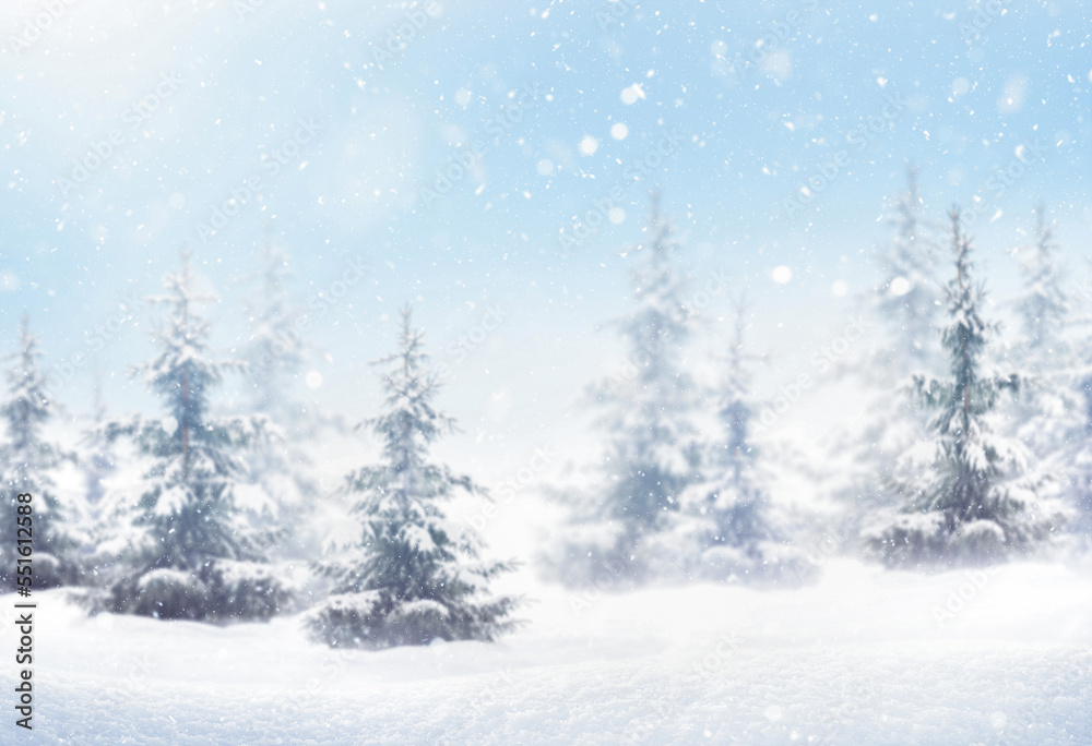 winter background with snowdrifts and coniferous forest