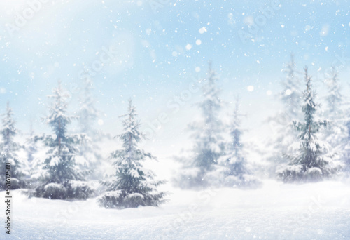 winter background with snowdrifts and coniferous forest
