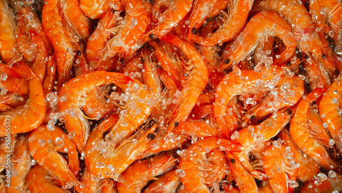 Falling prawns into water, ...