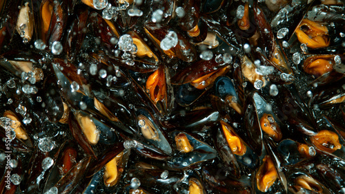 Falling mussels into water,...
