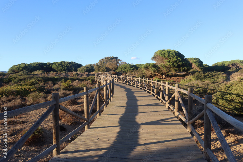 Artola Dunes, a natural enclave on the coast of Marbella