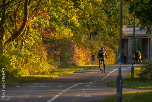 Cyclist biking down a road in colorful fall.