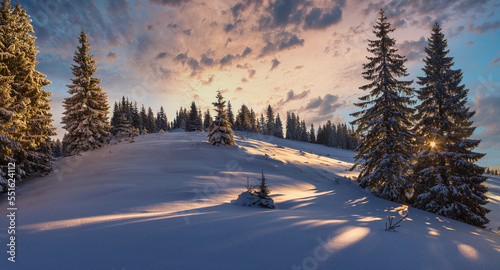 Beautiful winter panoramic landscape snow-covered conifer trees at sunrise. Winter in mountains. Merry Christmas background.