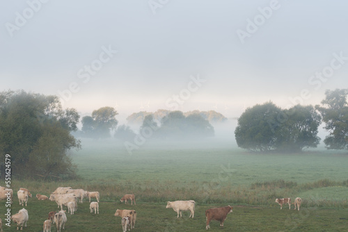 Herbst im Oderbruch in Brandenburg in Deutschland