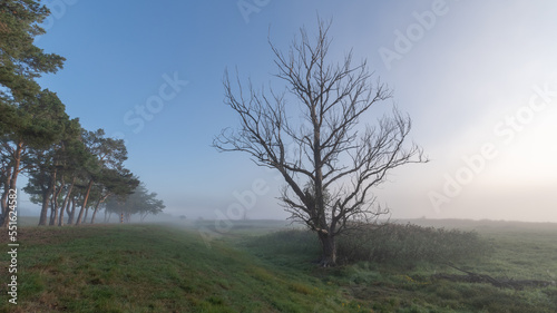 Herbst im Oderbruch in Brandenburg in Deutschland