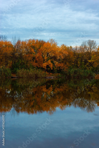 autumn evening landscape of trees in the reflection of the river. gold autumn