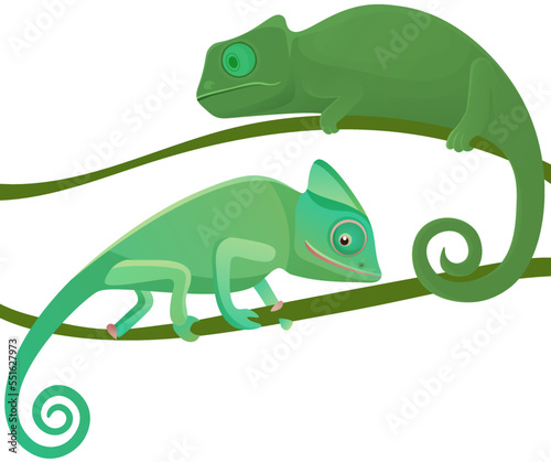 Couple of small green chameleon lizard cartoon animals sit on long liana isolated on white background. Wild reptile with curved tail walking on branch of jungle tree  exotic nature and zoo mascot