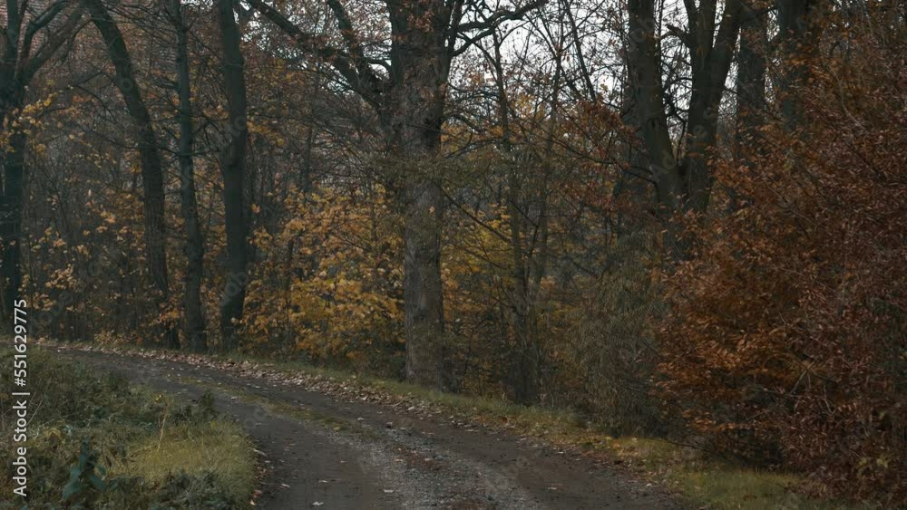 View on country side rural road in village, Poland View on country side rural road in village, Poland