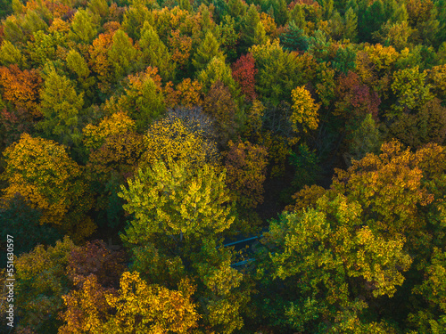 View from the drone on the autumn forest. Beautiful autumn landscape forest concept, colorful trees.