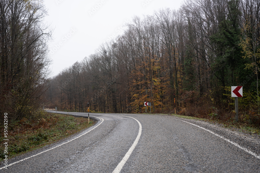 Obraz premium road in the autumn