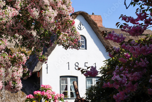 Fototapeta Naklejka Na Ścianę i Meble -  Beautiful Impressions of the island Sylt in Germany
