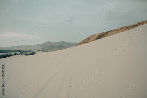 Fototapeta Naklejka Na Ścianę i Meble -  Sand Dunes