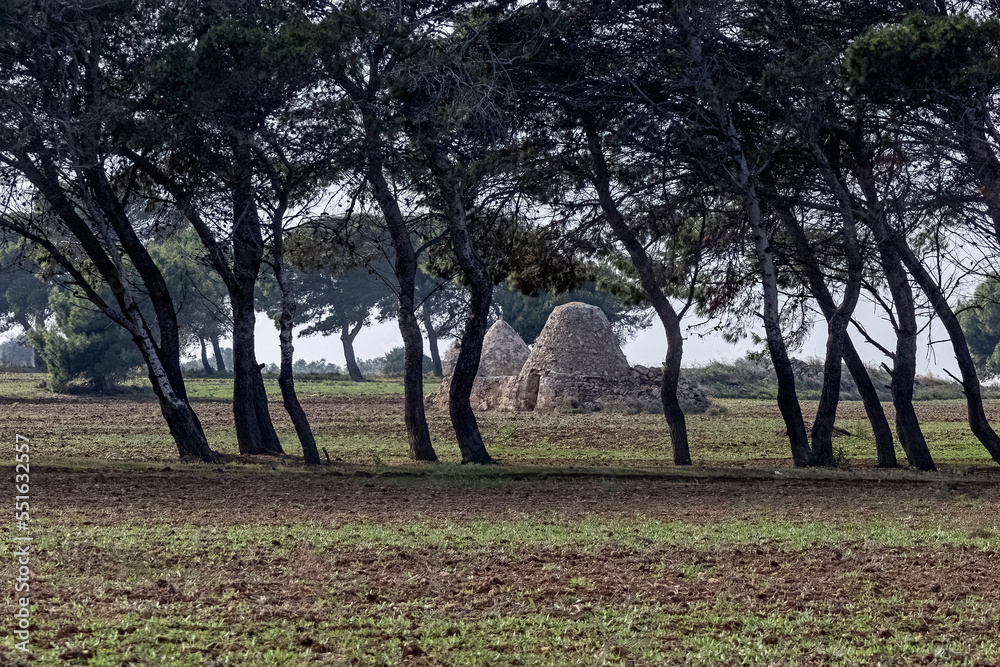 Obraz premium Disused Trulli dwellings in a field in Puglia, Italy