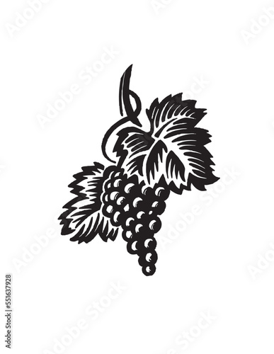 Fotografie bunch of grapes illustration