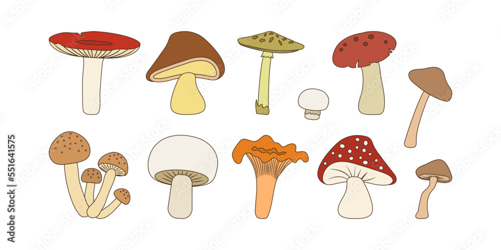 Mushroom vector icon, cartoon forest mushrooms set isolated on white background. Organic nature illustration Mushroom vector icon, cartoon forest mushrooms set isolated on white background. Organic nature illustration