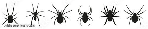 Fotografia Spider black vector silhouette collection