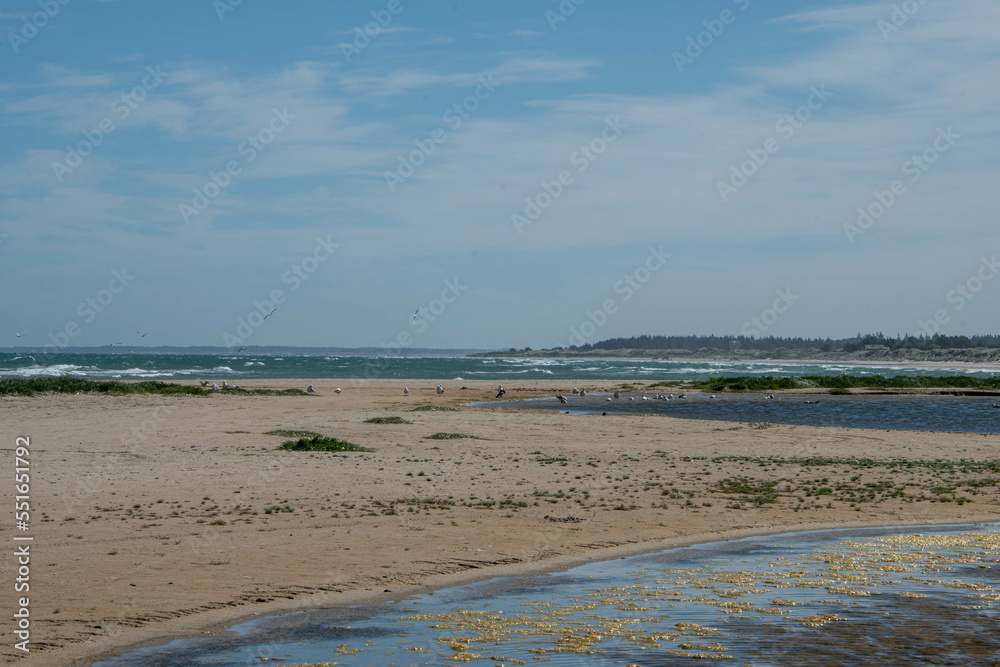 Strand an der Nordsee Strand an der Nordsee