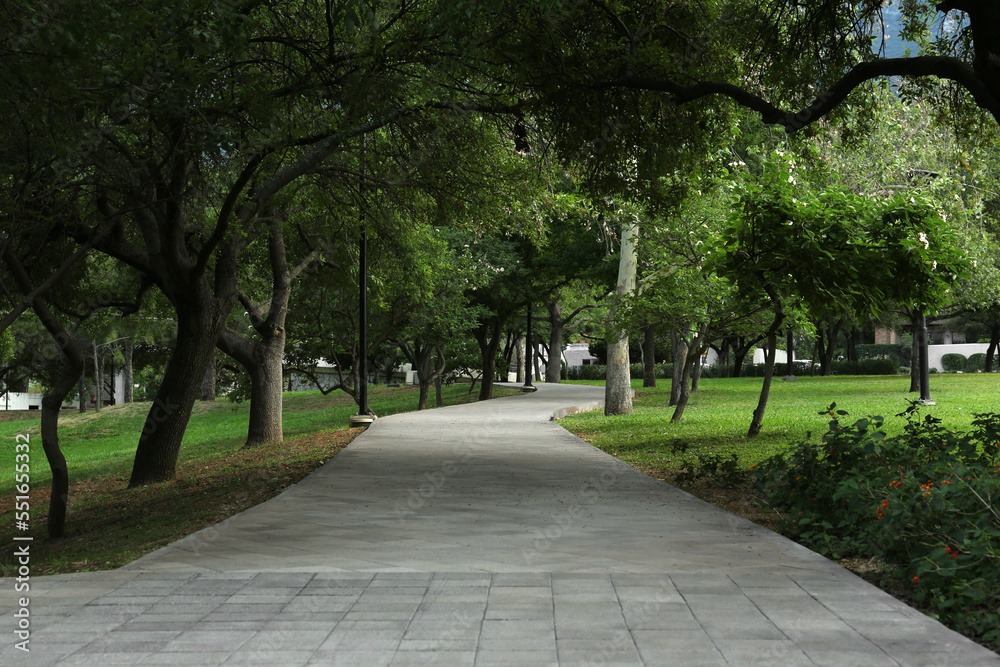 Beautiful view of green park with pathway