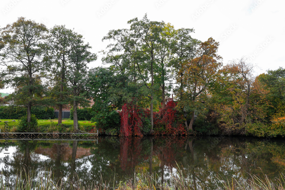 Picturesque view of river and trees in beautiful park. Autumn season Picturesque view of river and trees in beautiful park. Autumn season