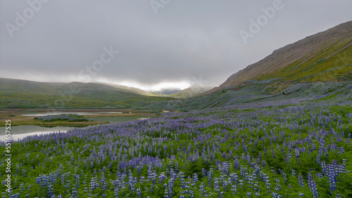 Iceland