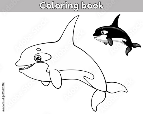 Orca outline and colorful orca. Coloring book for kids. Vector illustration of cartoon sea animal in childish style.