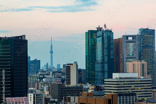 Tokyo Tower  against the background of Minato  Tokyo  Japan