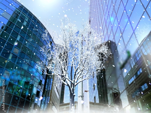  winter in the city ,  tree covered by snow and modern buildings windows light reflection in busines centre urban holiday in Tallinn old town